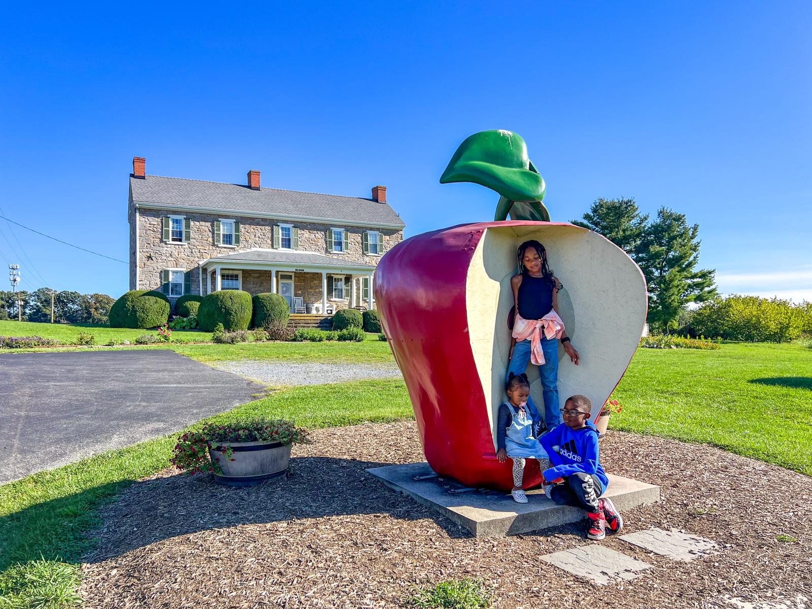 29 Best Apple Picking Places in Virginia